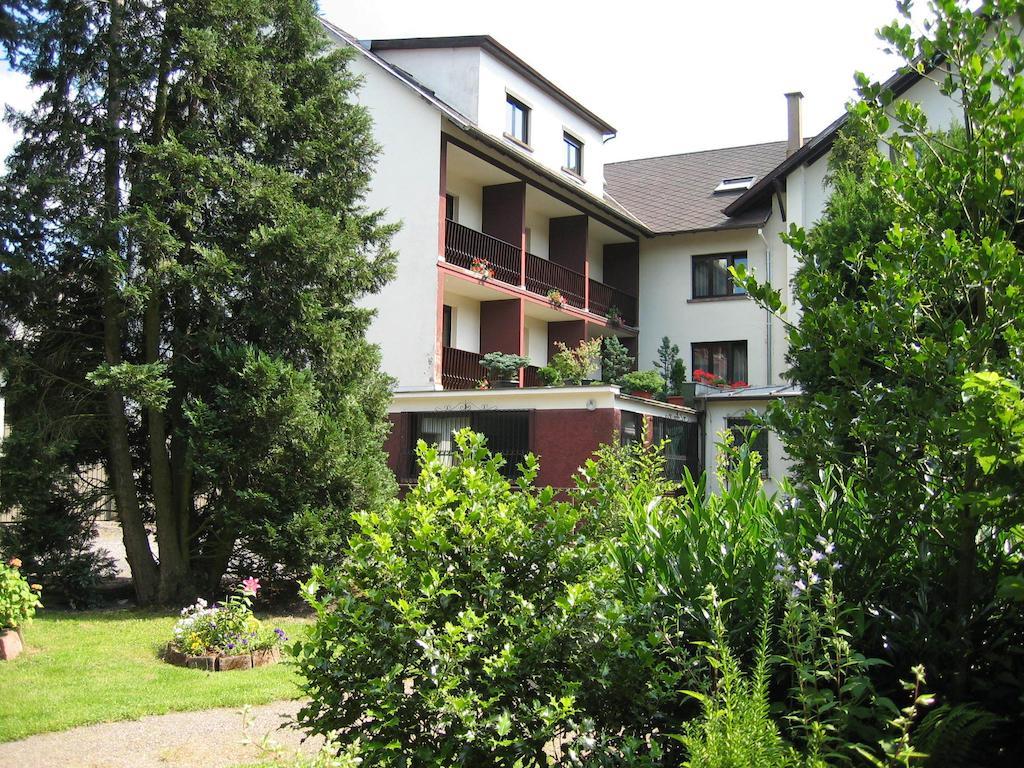 Hostellerie Belle-Vue Wangenbourg-Engenthal Exterior foto